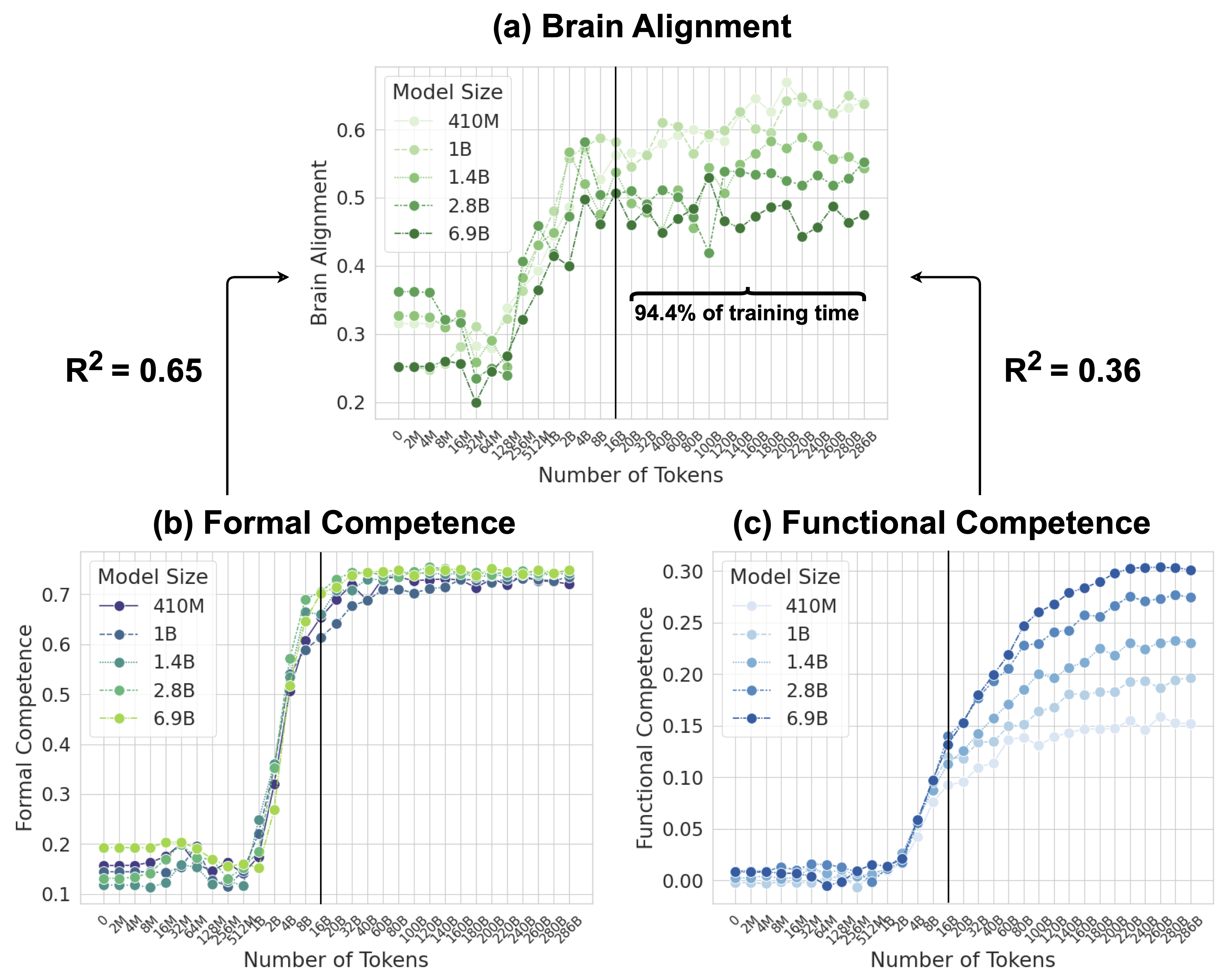 Model Alignment with the Human Language Network